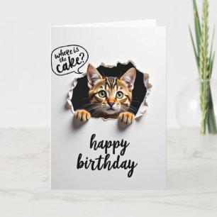 Carte de chat curieux doux