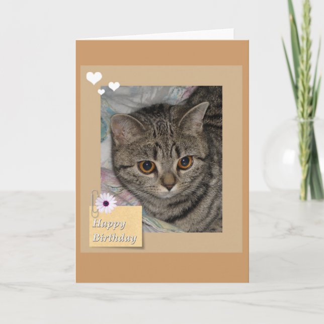 Carte de chat d'anniversaire (Devant)