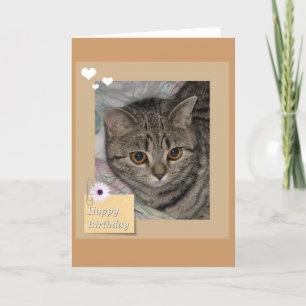 Carte de chat d'anniversaire