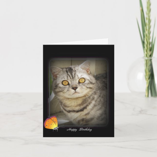Carte de chat d'anniversaire (Devant)
