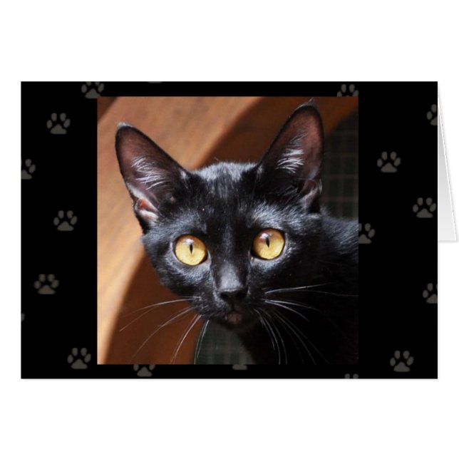 Carte de chat de Bombay de délivrance de chat de (Devant horizontal)