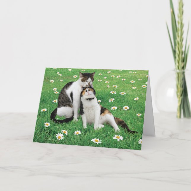 Carte de chat de l'anniversaire de mariage drôle m (Devant)