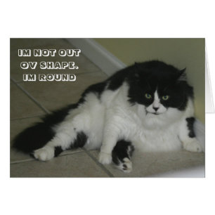 Carte de chat de LOL