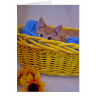 carte de chat de panier