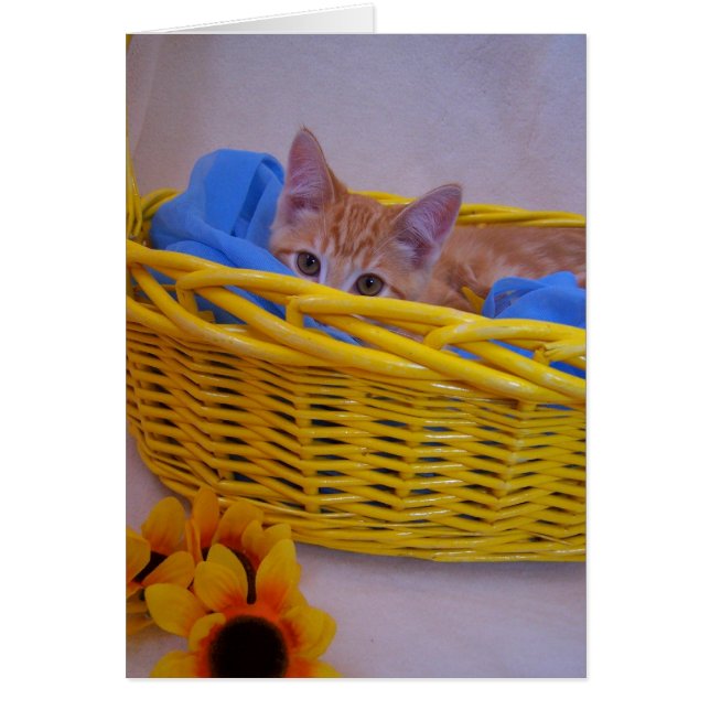 carte de chat de panier (Devant)