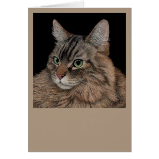 Carte de chat Maine Coon