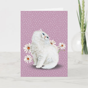carte de chat persan blanc avec des pâquerettes