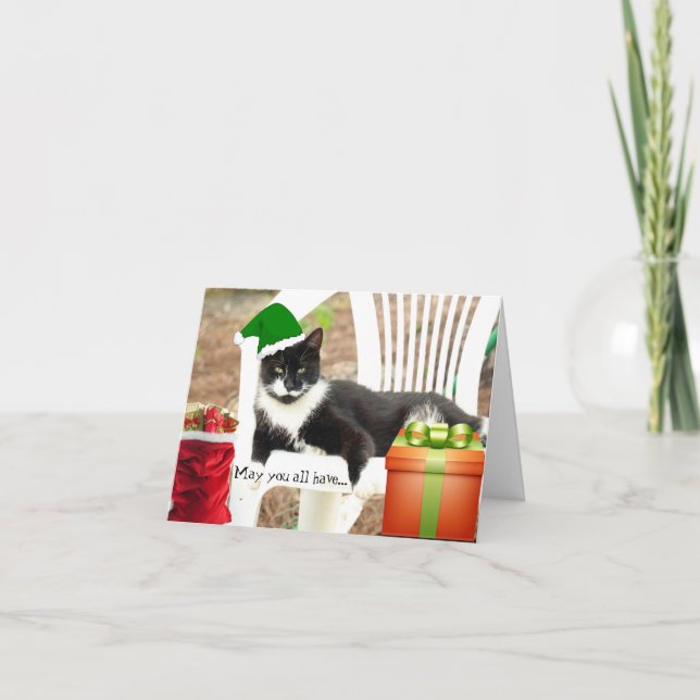 Carte de chat pliée souple pour Noël Fluffy (Devant)