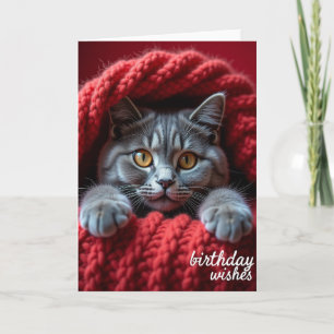 Carte de chat pour regard d'anniversaire