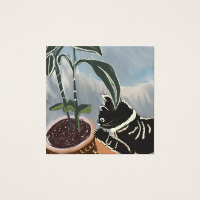 Carte de chat regardant les plantes d'intérieur (Devant)