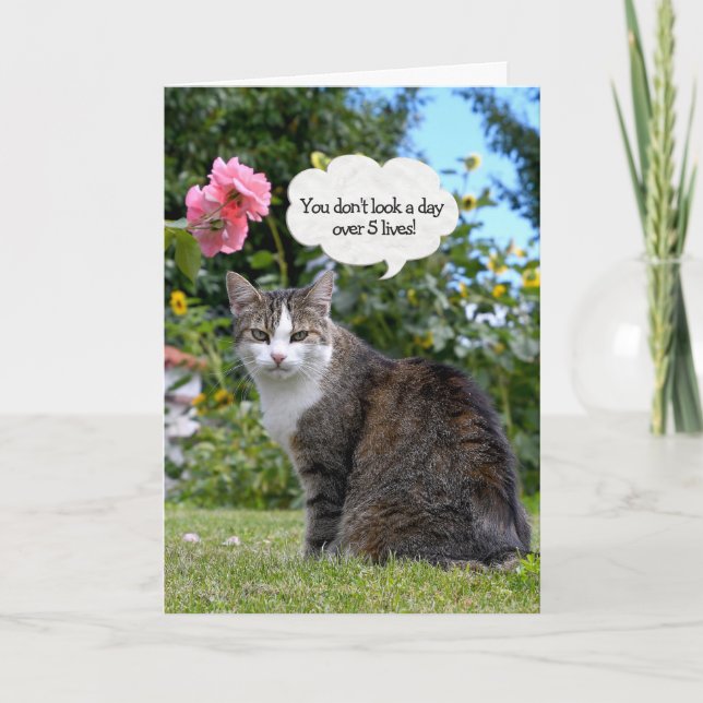 Carte de chat Tabby Anniversaire (Devant)