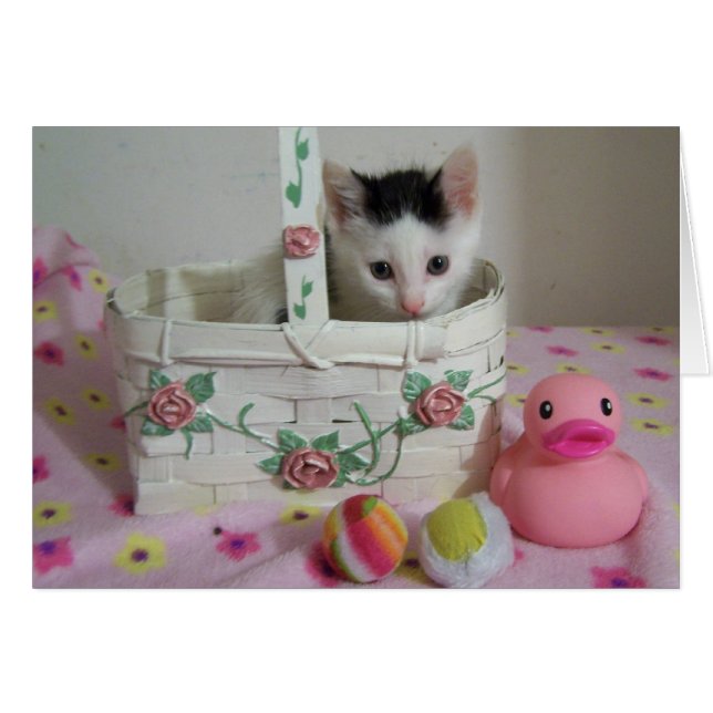 Carte de chaton (Devant horizontal)