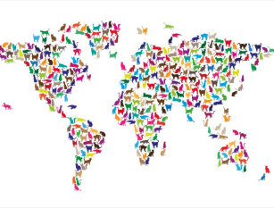 Cartes Postales Le Monde Du Chat Originales Zazzle Fr Cartes Postales Le Monde Du Chat Originales Zazzle Fr