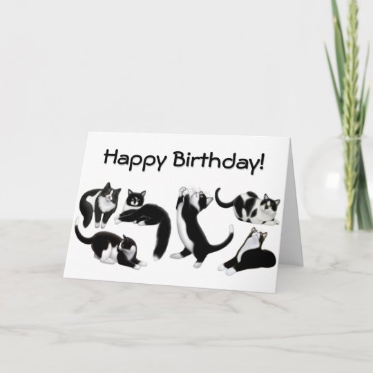 Carte De Chats De Smoking De Joyeux Anniversaire Zazzle Fr