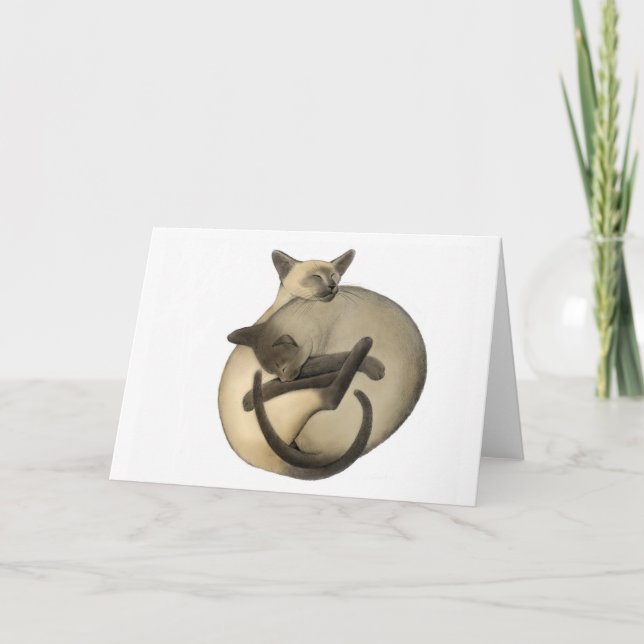 Carte de chats Yin Yang Siamese (Devant)