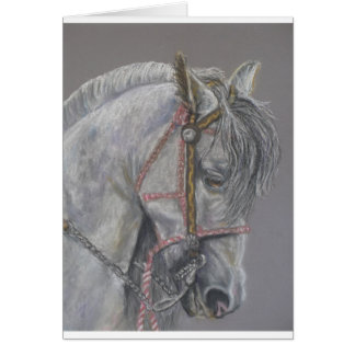 Carte de cheval d'Andualusian