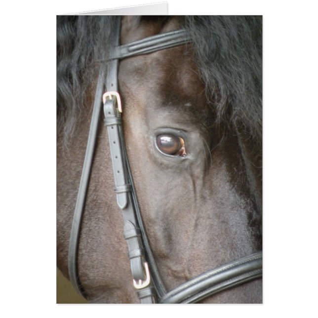 Carte de cheval noir (Devant)