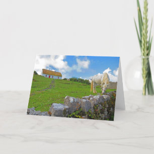 Carte de cheval paissant en Irlande