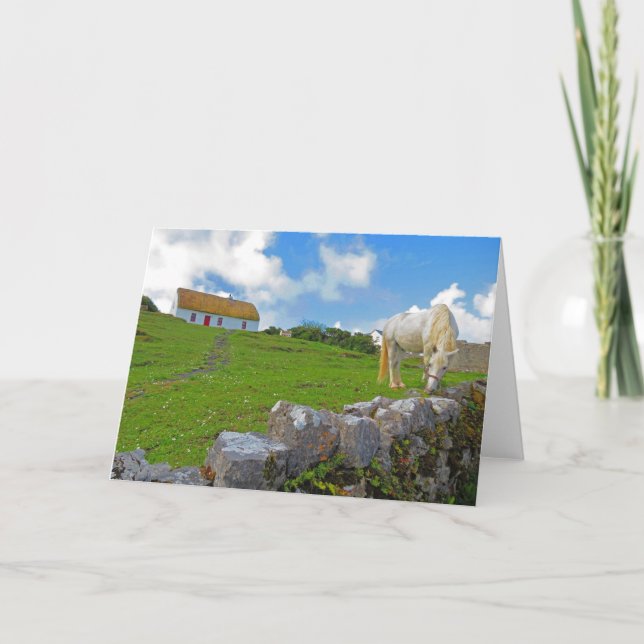 Carte de cheval paissant en Irlande (Devant)