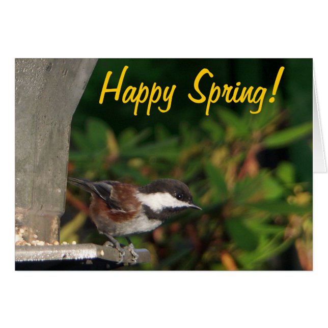 Carte de Chickadee (Devant horizontal)