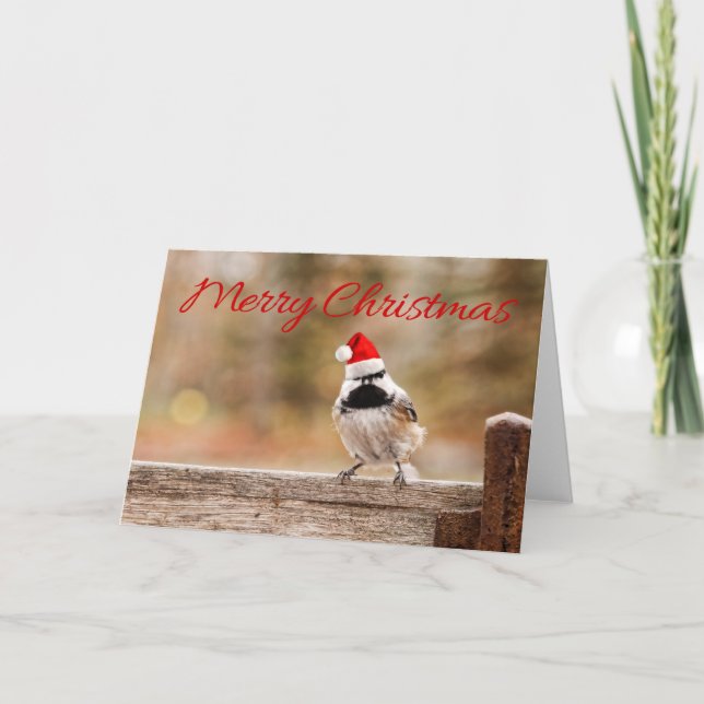 Carte de Chickadee de Père Noël de Joyeux Noël (Devant)