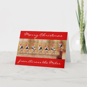 Carte de Chickadees de Joyeux Noël
