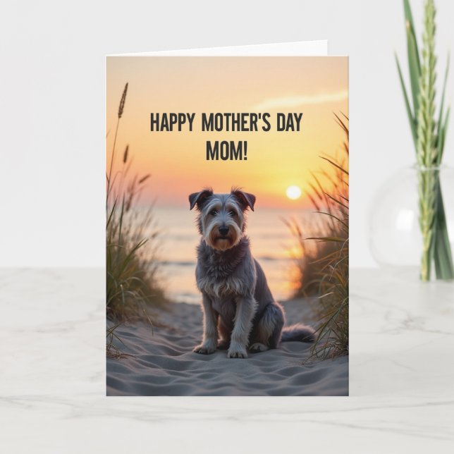 Carte de chien au coucher de soleil sur le sable o (Devant)