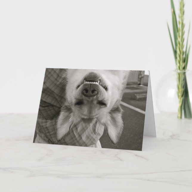 Carte de chien de joyeux anniversaire (Devant)