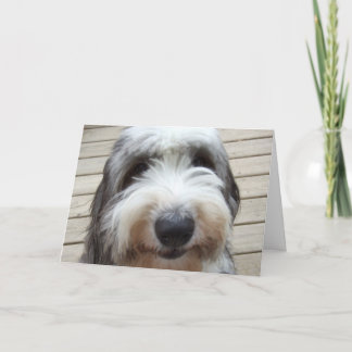 Carte de chien de mouton Smile Old English