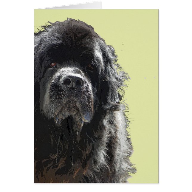 Carte de chien de Terre-Neuve (Devant)