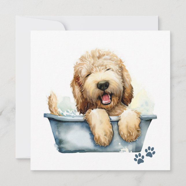 Carte de chien Labradoodle (Devant)