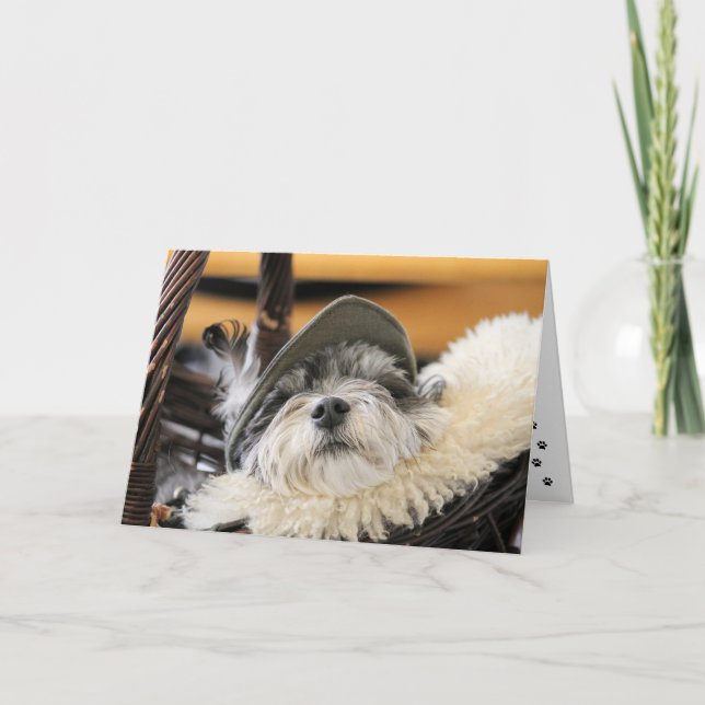 Carte de chien Shih Tzu mignon (Devant)