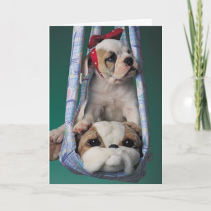 Carte de chiot de bulldog malade
