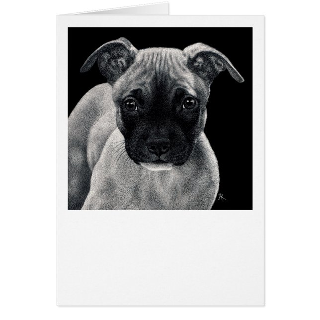 Carte de chiot de pitbull - "M. Mischief " (Devant)