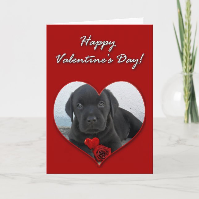 Carte de chiot Heureuse Sainte-Valentin Labrador (Devant)