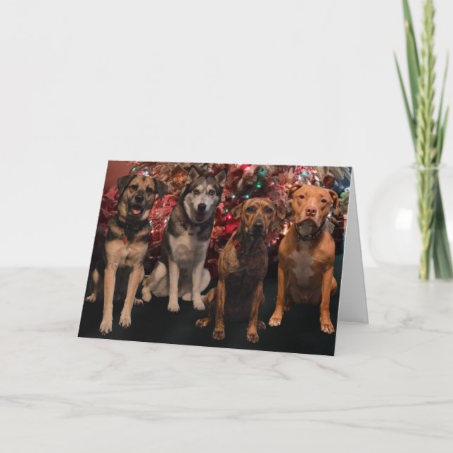 Carte de chiots de Joyeux Noël (Devant)