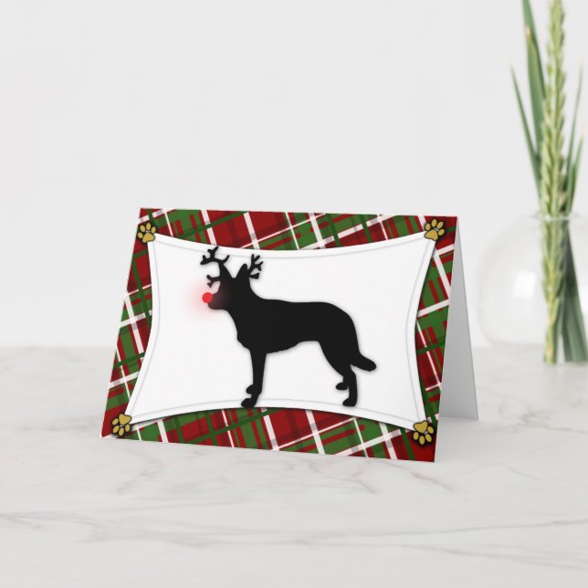 Carte de Christmas australienne (Devant)