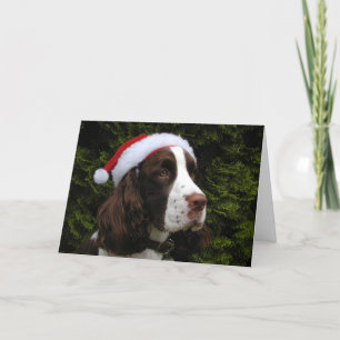 Carte de Christmas Springer