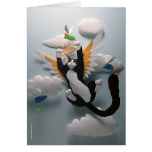 Carte de ciel de chat