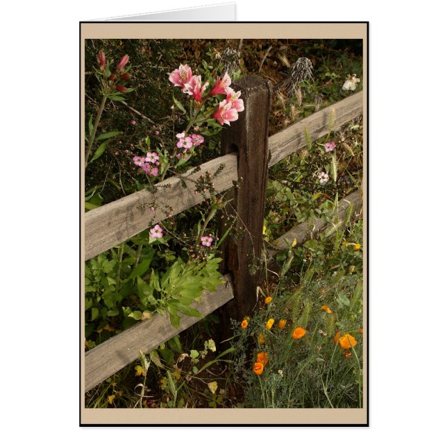 Carte de clôture du jardin (Devant)