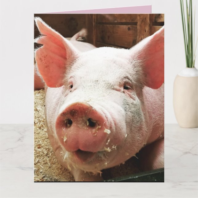 CARTE DE COCHON D'AMOUR CARTES (Devant)