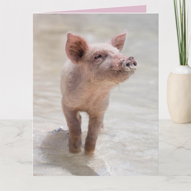 CARTE DE COCHON DE LAIT AMOUR (Devant)