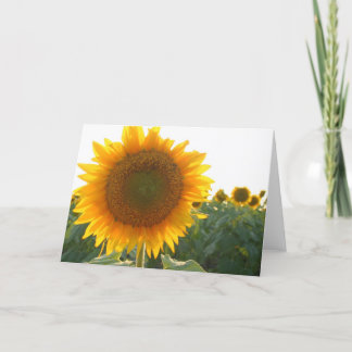 Carte de coeur de tournesol (blanc)