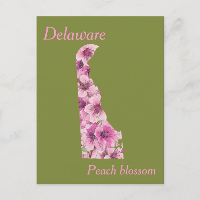 Carte de collage des fleurs de l'État du Delaware (Devant)