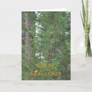 Carte de collection de Noël du lac Tahoe