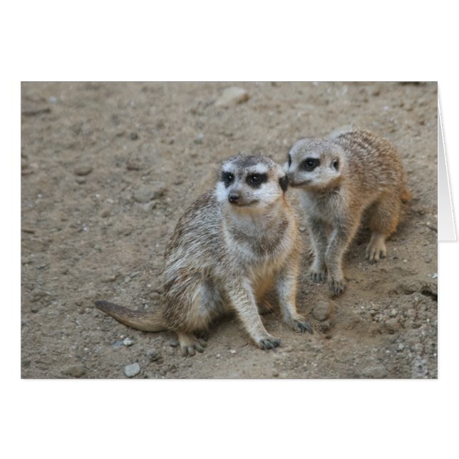 Carte de commérage (Devant horizontal)