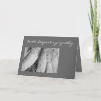 Carte de condoléances aux photos en noir et blanc