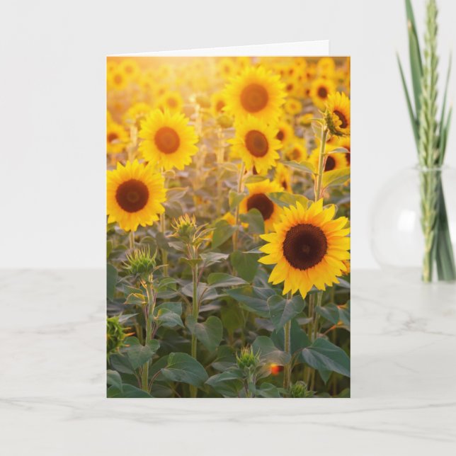 CARTE DE CONDOLÉANCES CHAMP DE TOURNESOL (Devant)