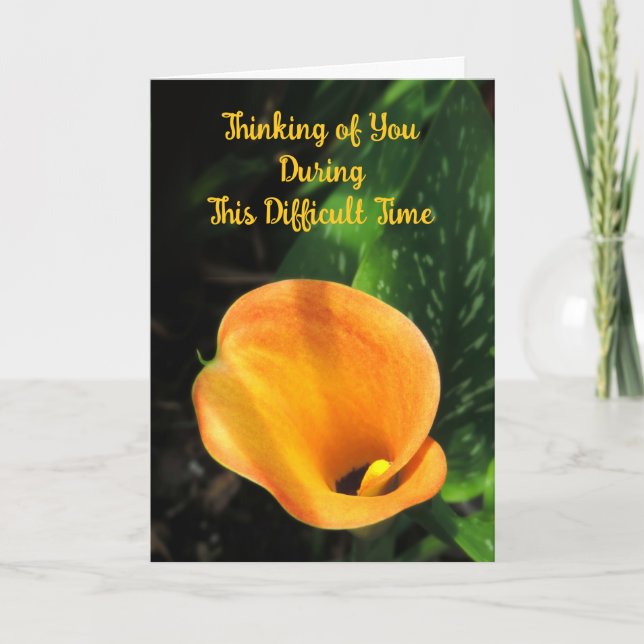 Carte de condoléances Fleur de calla orange en pen (Devant)