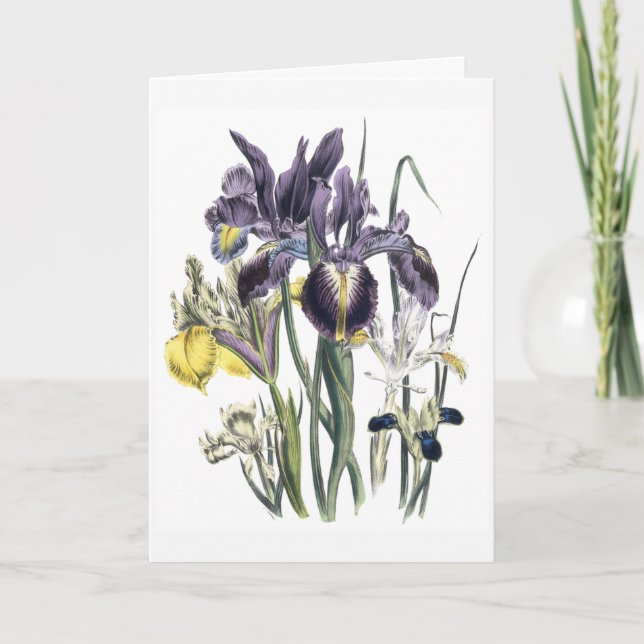 Carte de condoléances Iris aquarelle mise à jour (Devant)
